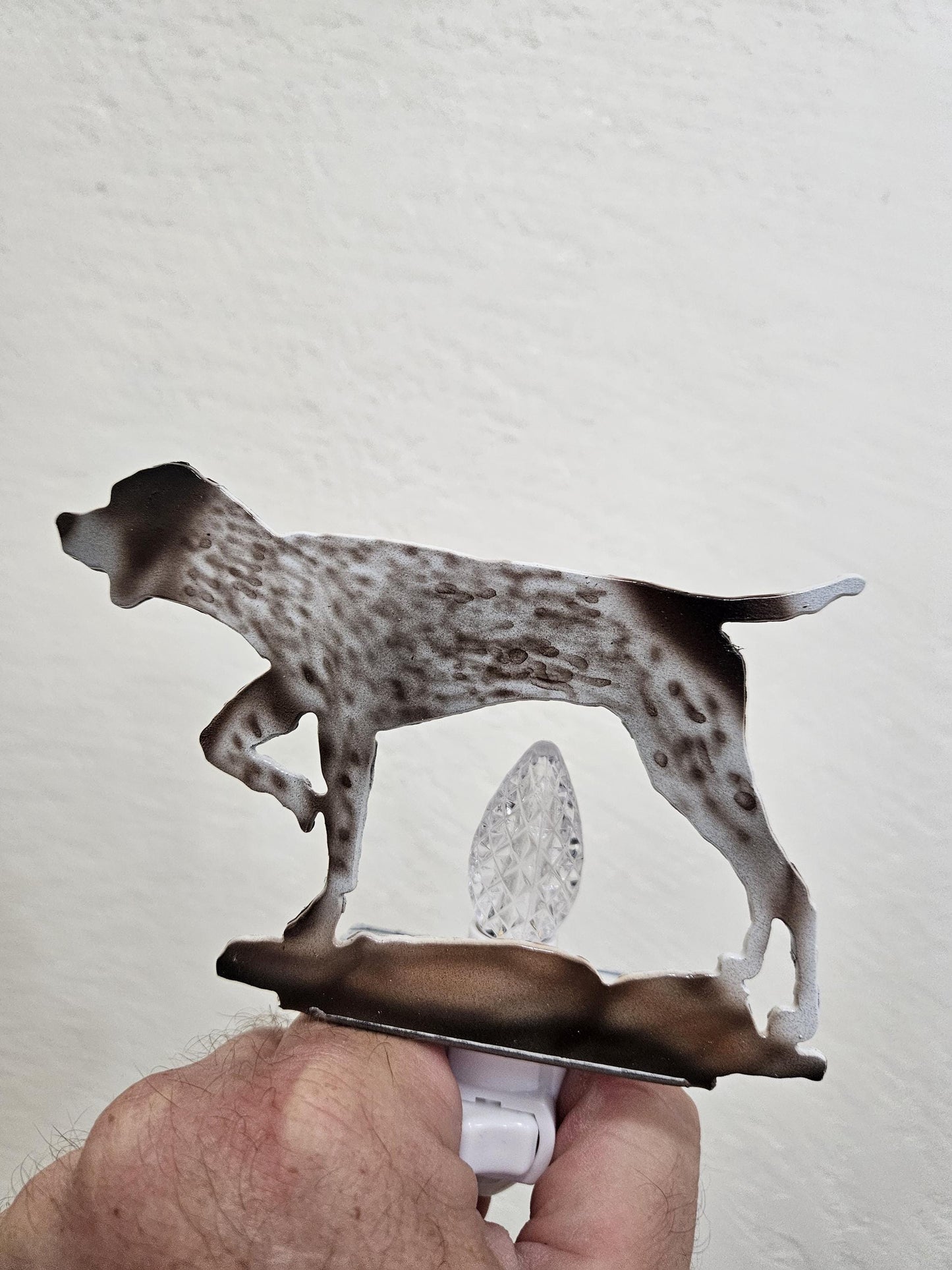 Pointer Art as a Night Light- made out of durable, air-brushed steel