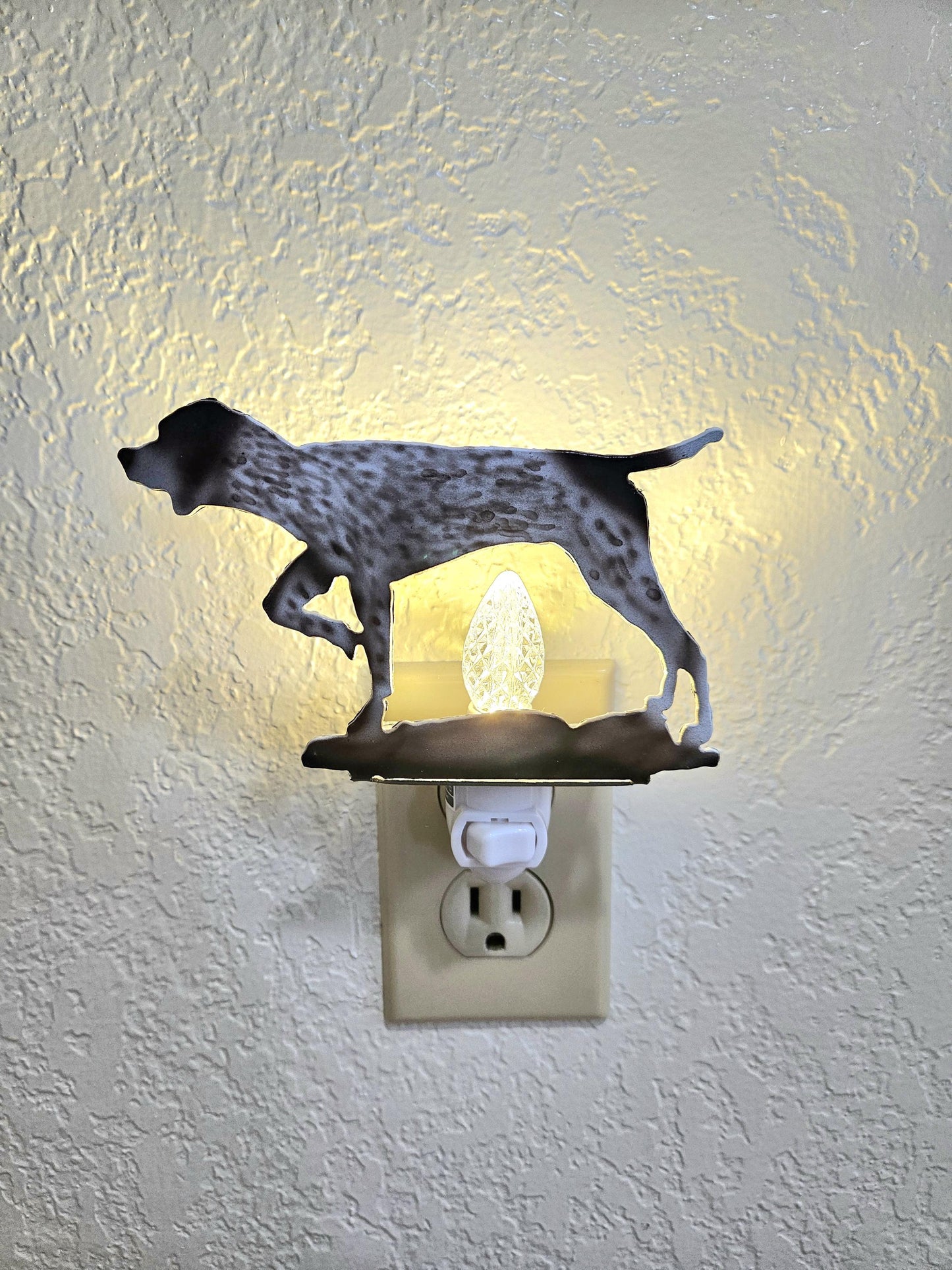 Pointer Art as a Night Light- made out of durable, air-brushed steel