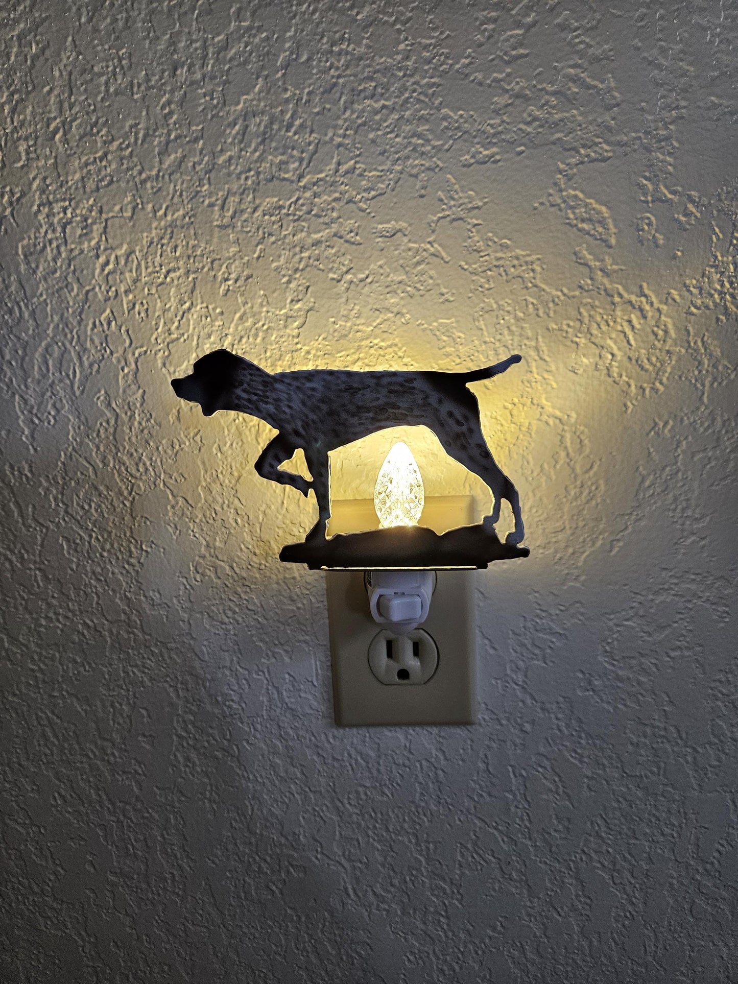 Pointer Art as a Night Light- made out of durable, air-brushed steel