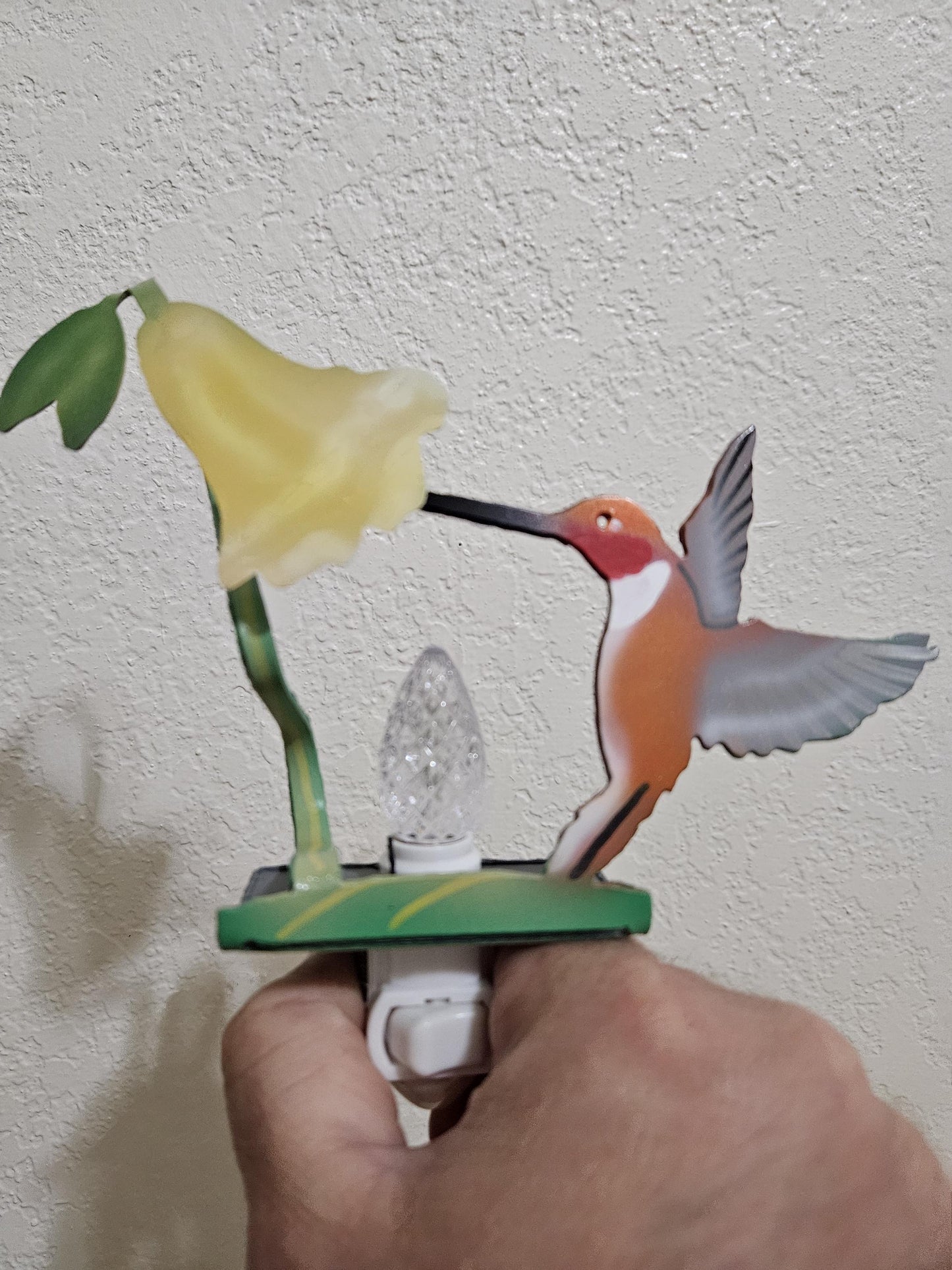 Rufous Hummingbird Feeding from a Yellow Trumpet Flower- Night Light- Made from durable, Hand-painted steel